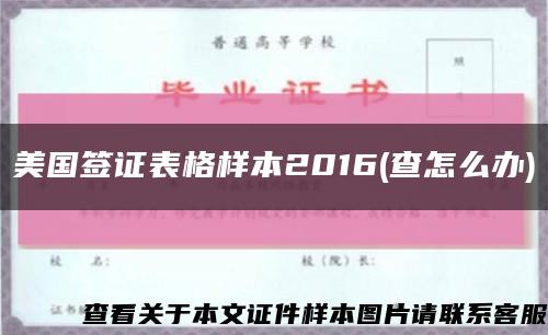 美国签证表格样本2016(查怎么办)缩略图