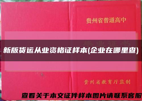 新版货运从业资格证样本(企业在哪里查)缩略图