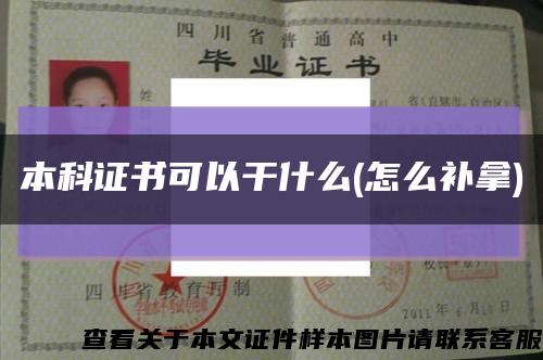 本科证书可以干什么(怎么补拿)缩略图