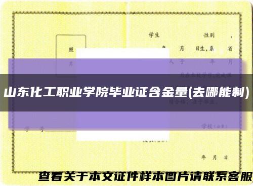 山东化工职业学院毕业证含金量(去哪能制)缩略图