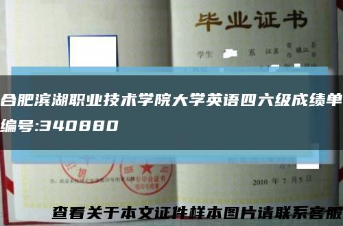 合肥滨湖职业技术学院大学英语四六级成绩单编号:340880缩略图