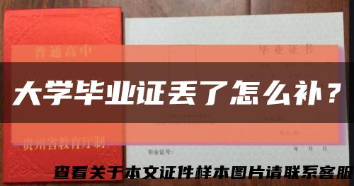 大学毕业证丢了怎么补？缩略图