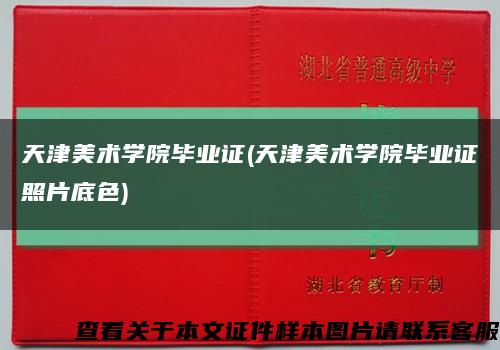 天津美术学院毕业证(天津美术学院毕业证照片底色)缩略图