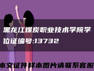 黑龙江煤炭职业技术学院学位证编号:13732缩略图