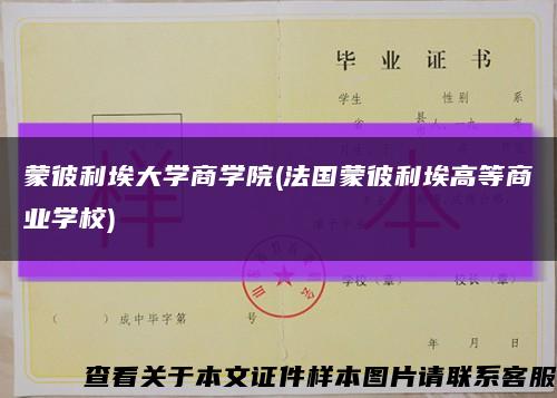 蒙彼利埃大学商学院(法国蒙彼利埃高等商业学校)缩略图