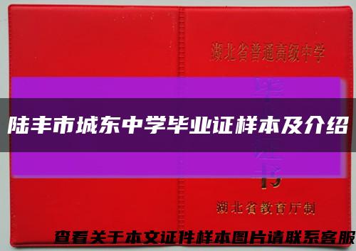 陆丰市城东中学毕业证样本及介绍缩略图