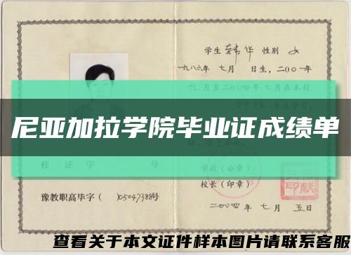 尼亚加拉学院毕业证成绩单缩略图