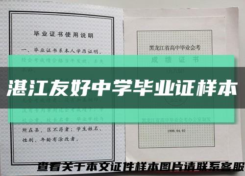 湛江友好中学毕业证样本缩略图