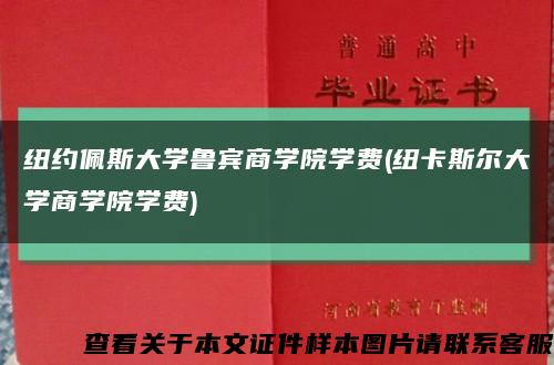 纽约佩斯大学鲁宾商学院学费(纽卡斯尔大学商学院学费)缩略图