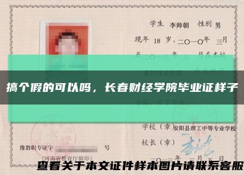 搞个假的可以吗，长春财经学院毕业证样子缩略图