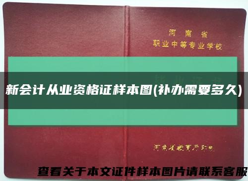 新会计从业资格证样本图(补办需要多久)缩略图