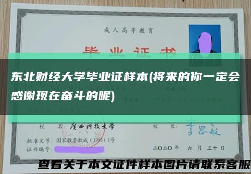 东北财经大学毕业证样本(将来的你一定会感谢现在奋斗的呢)缩略图