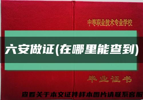 六安做证(在哪里能查到)缩略图