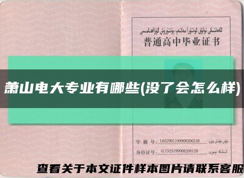 萧山电大专业有哪些(没了会怎么样)缩略图