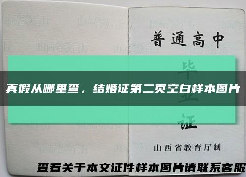 真假从哪里查，结婚证第二页空白样本图片缩略图