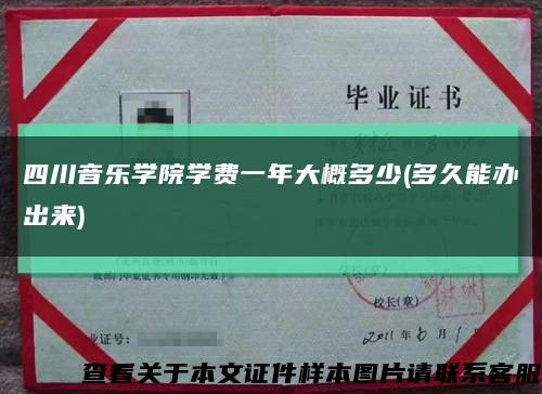 四川音乐学院学费一年大概多少(多久能办出来)缩略图