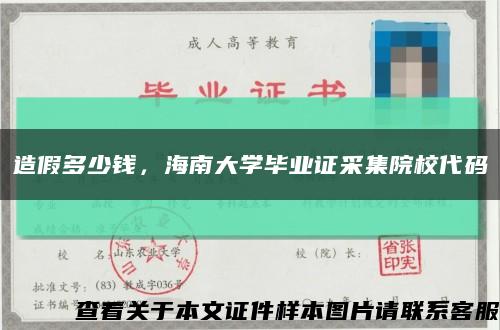 造假多少钱，海南大学毕业证采集院校代码缩略图