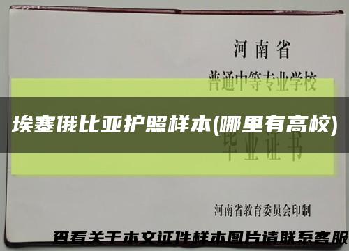 埃塞俄比亚护照样本(哪里有高校)缩略图