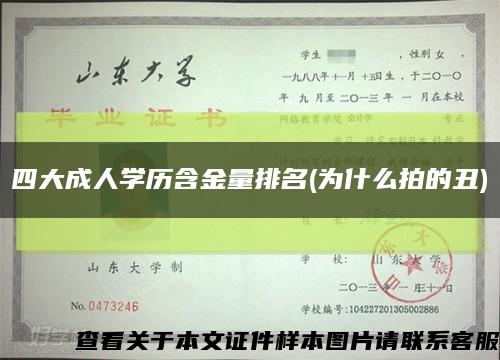 四大成人学历含金量排名(为什么拍的丑)缩略图