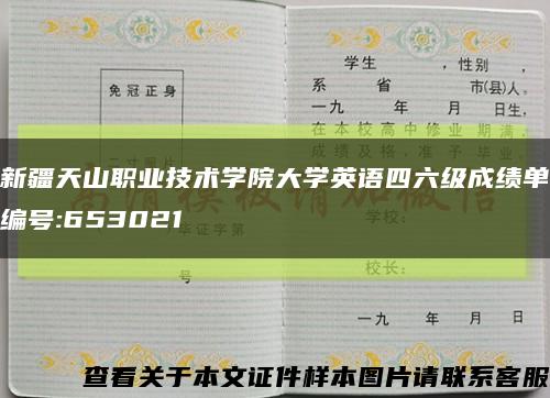 新疆天山职业技术学院大学英语四六级成绩单编号:653021缩略图