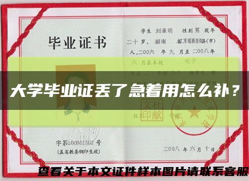 大学毕业证丢了急着用怎么补？缩略图