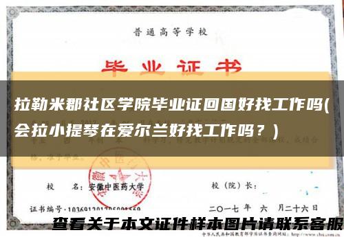 拉勒米郡社区学院毕业证回国好找工作吗(会拉小提琴在爱尔兰好找工作吗？)缩略图