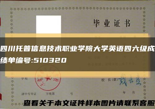 四川托普信息技术职业学院大学英语四六级成绩单编号:510320缩略图