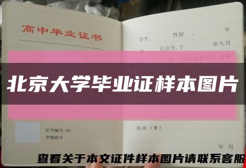 北京大学毕业证样本图片缩略图