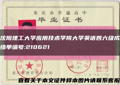 沈阳理工大学应用技术学院大学英语四六级成绩单编号:210621缩略图