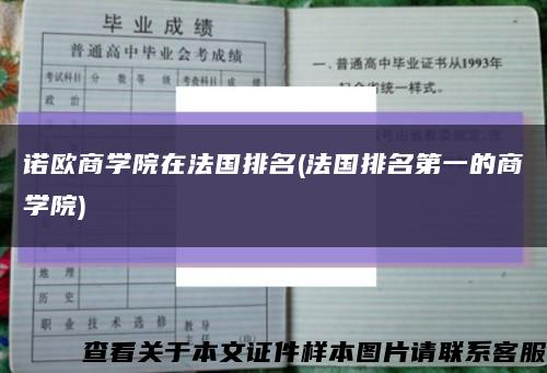 诺欧商学院在法国排名(法国排名第一的商学院)缩略图