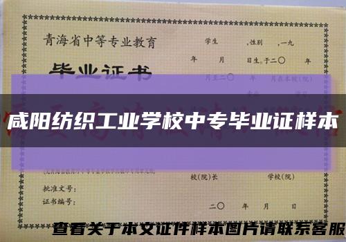 咸阳纺织工业学校中专毕业证样本缩略图