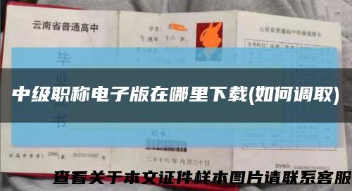 中级职称电子版在哪里下载(如何调取)缩略图