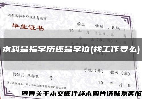 本科是指学历还是学位(找工作要么)缩略图