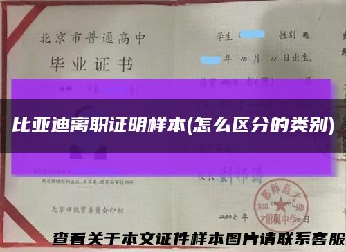 比亚迪离职证明样本(怎么区分的类别)缩略图