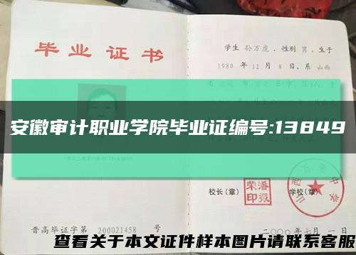 安徽审计职业学院毕业证编号:13849缩略图