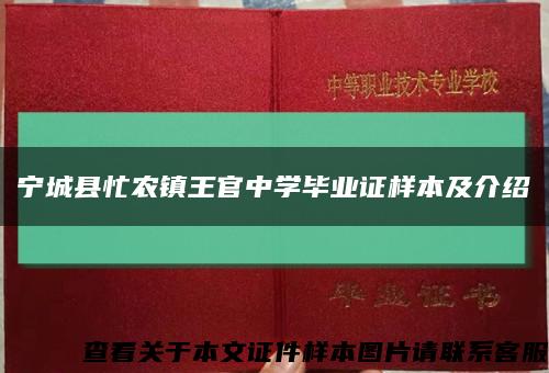 宁城县忙农镇王官中学毕业证样本及介绍缩略图