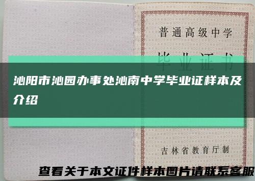 沁阳市沁园办事处沁南中学毕业证样本及介绍缩略图