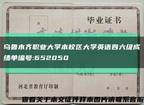 乌鲁木齐职业大学本校区大学英语四六级成绩单编号:652050缩略图