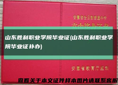 山东胜利职业学院毕业证(山东胜利职业学院毕业证补办)缩略图