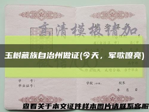 玉树藏族自治州做证(今天，军歌嘹亮)缩略图