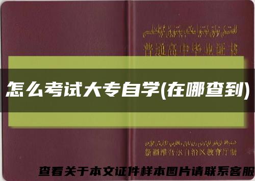 怎么考试大专自学(在哪查到)缩略图