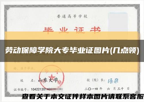 劳动保障学院大专毕业证图片(几点领)缩略图