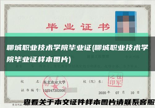 聊城职业技术学院毕业证(聊城职业技术学院毕业证样本图片)缩略图