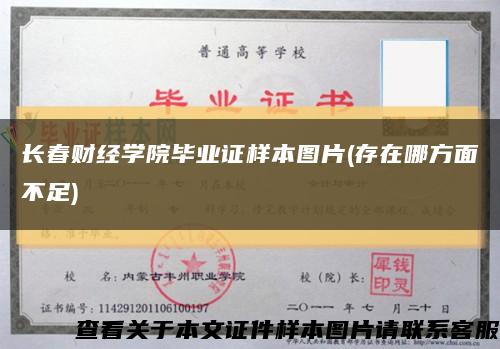 长春财经学院毕业证样本图片(存在哪方面不足)缩略图