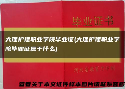 大理护理职业学院毕业证(大理护理职业学院毕业证属于什么)缩略图