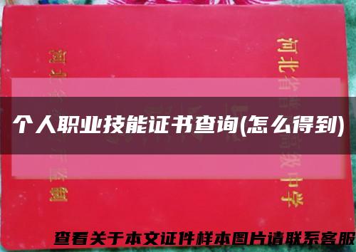 个人职业技能证书查询(怎么得到)缩略图