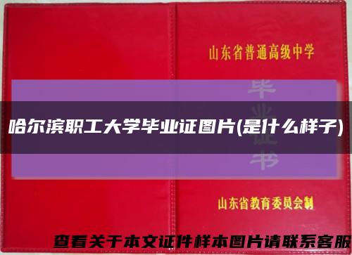 哈尔滨职工大学毕业证图片(是什么样子)缩略图