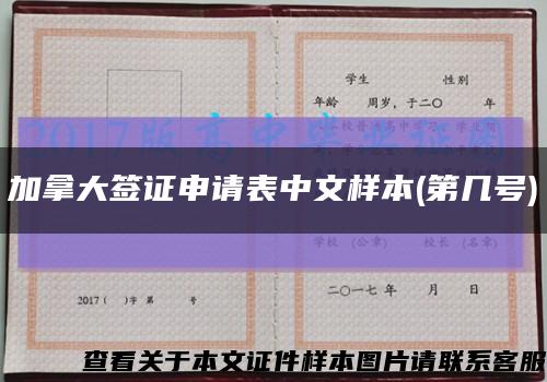 加拿大签证申请表中文样本(第几号)缩略图