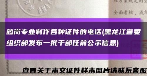 鹤岗专业制作各种证件的电话(黑龙江省委组织部发布一批干部任前公示信息)缩略图