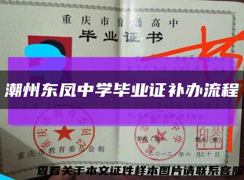 潮州东凤中学毕业证补办流程缩略图